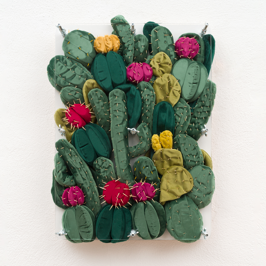Velvet Cacti