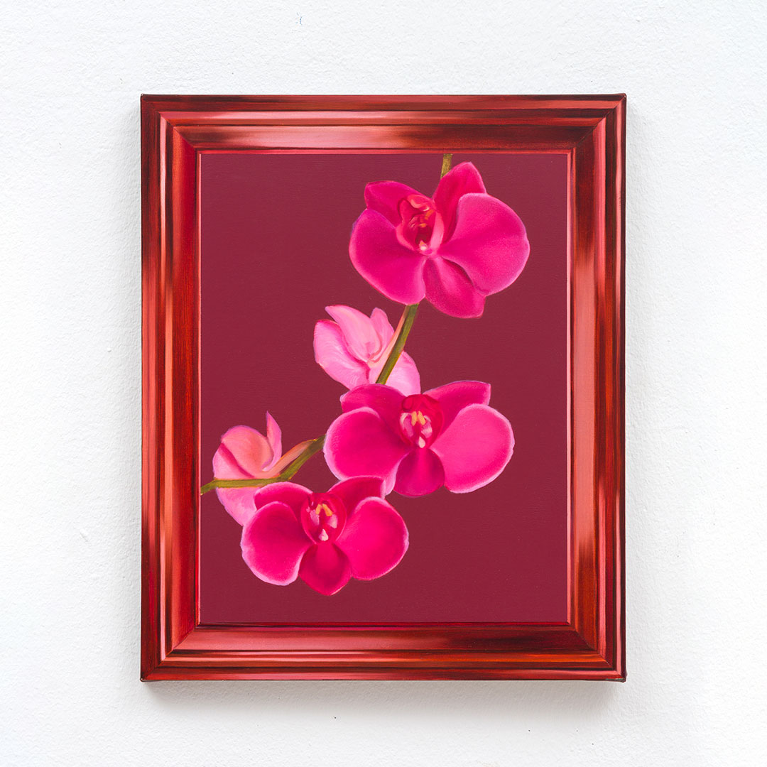 The Orchid in the Frame
