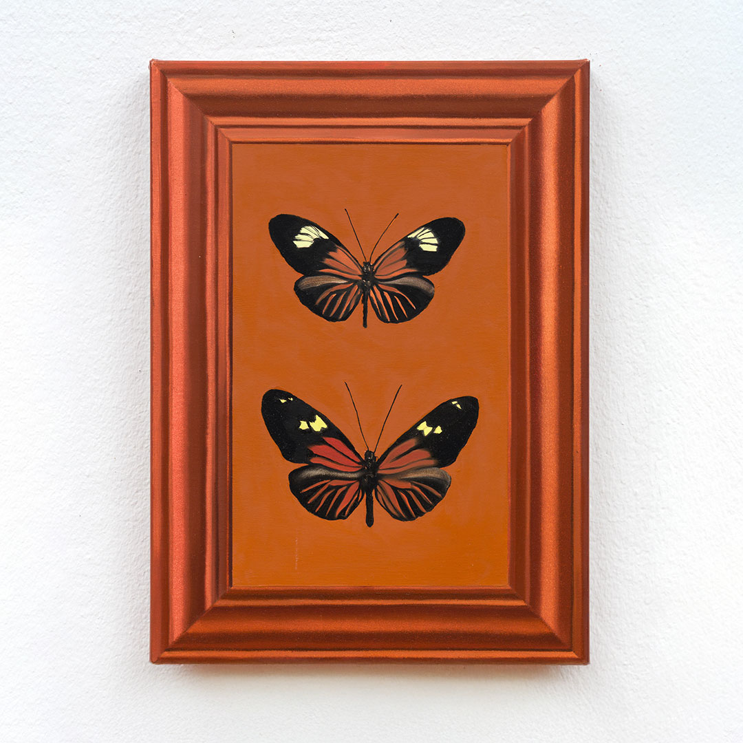 The Butterflies in the Frame