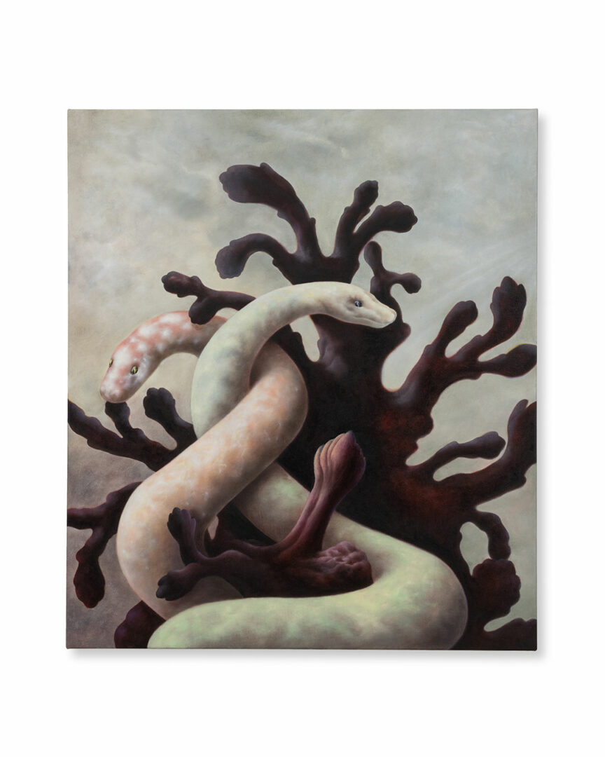 The Snake Charmer